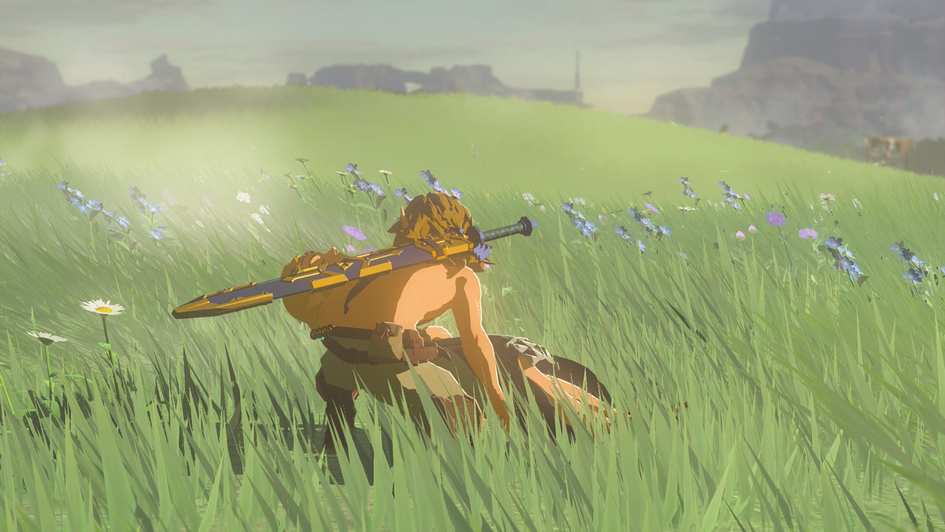 TLOZ Tears of the Kingdom